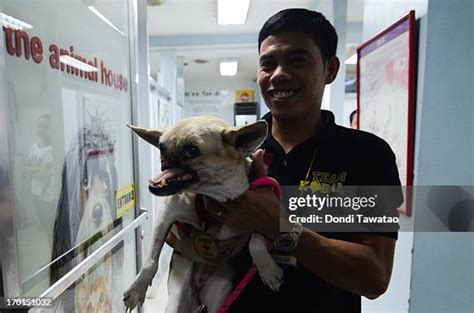 makati vet